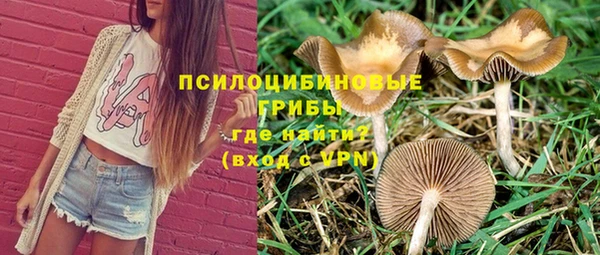 a pvp Армянск