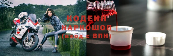 прущие грибы Аркадак