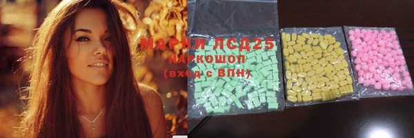 прущие грибы Аркадак