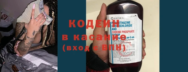 прущие грибы Аркадак