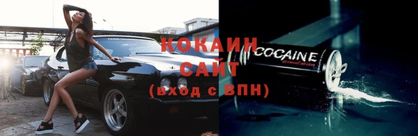 прущие грибы Аркадак