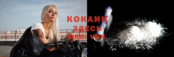 прущие грибы Аркадак
