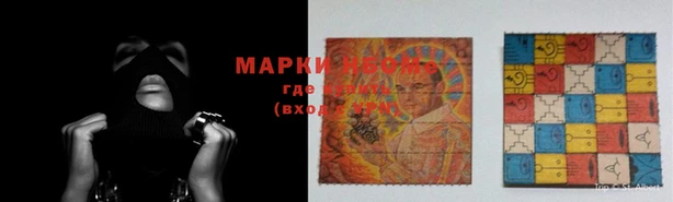 прущие грибы Аркадак