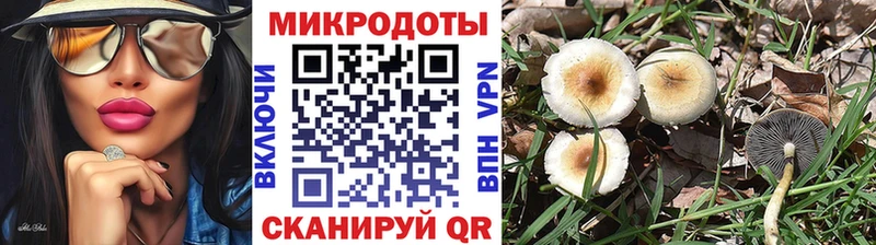 Галлюциногенные грибы Psilocybe  Балашиха 
